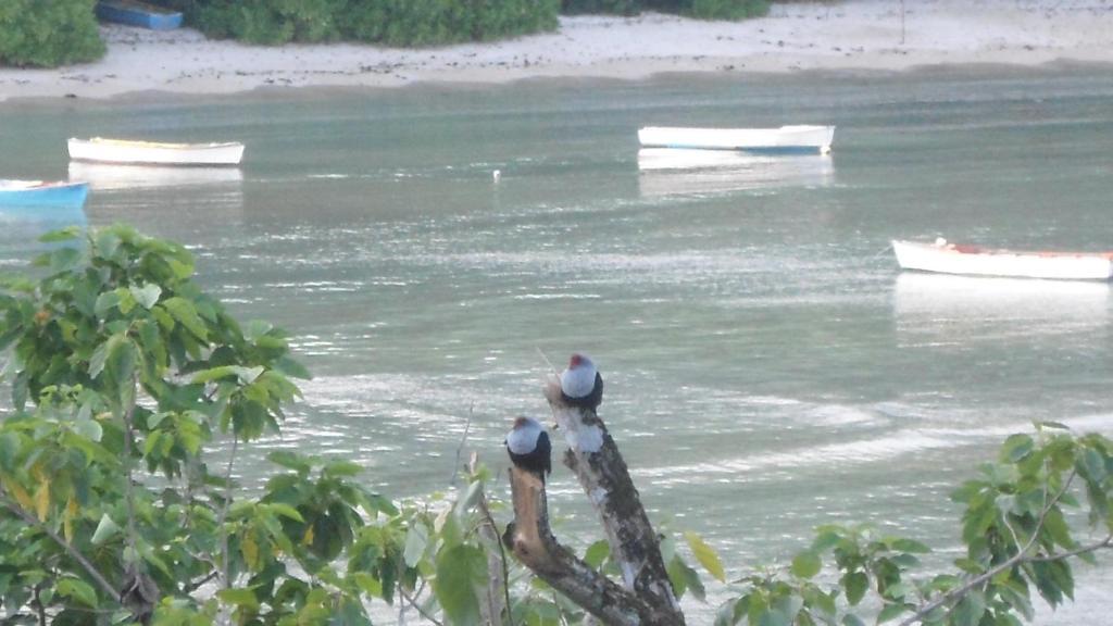 Bayview Villas Seychelles Anse Boileau Eksteriør bilde